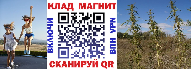 Где купить наркотики Новошахтинск Cocaine  A PVP  МЕТАМФЕТАМИН  МЕФ 