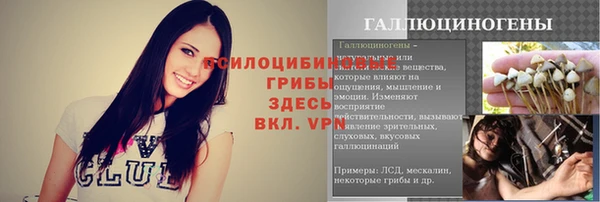 ALPHA-PVP Елизово