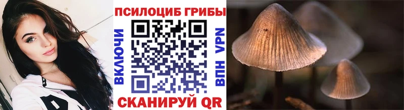 Псилоцибиновые грибы Cubensis  Новошахтинск 
